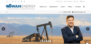 Case study: Swan Energy